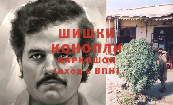 мдпв Горнозаводск