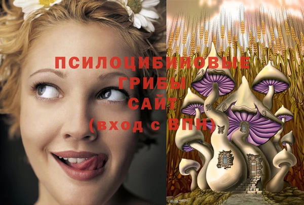 MESCALINE Вязьма